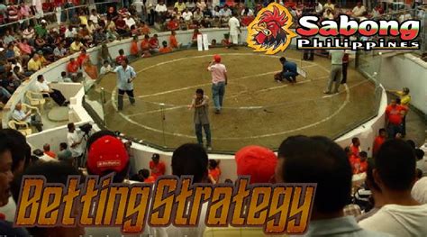 sabong betting strategy.